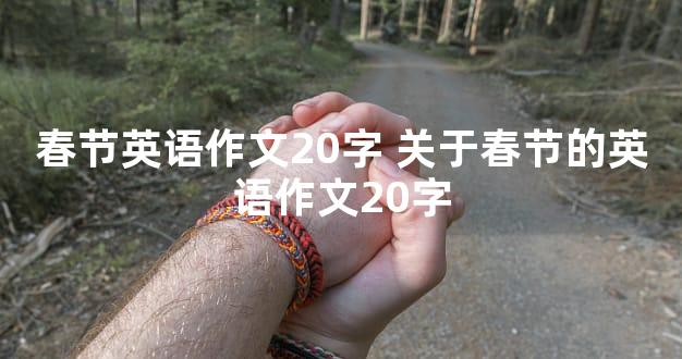 春节英语作文20字 关于春节的英语作文20字